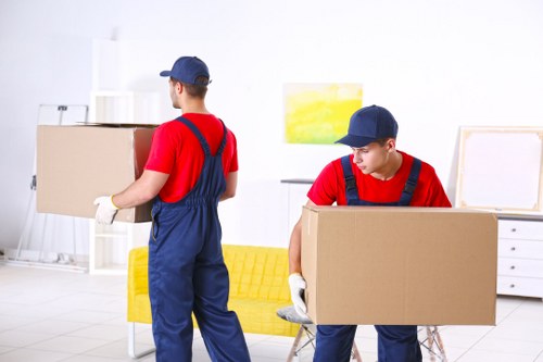 Man With Van Lee local moving service introduction