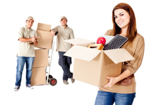 Small business or home removals support in Lee
