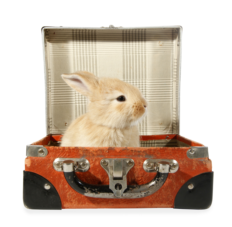 moving services moving supplies